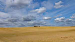 Berkshire Summer Skies