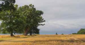 End of a hot summer