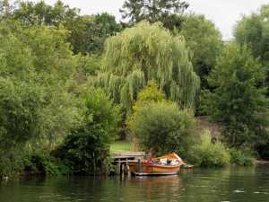 River Bank Holiday Entertainment
