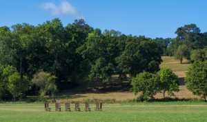The Jurors, Runnymede
