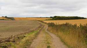 Swan's Way, Ewelme Downs