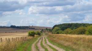 The Fair Mile & Lowbury Hill