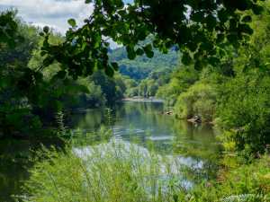 The River Wye in the sun
