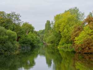 The Thames at Sonning