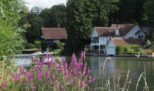 The Thames near Goring