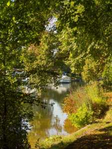 The Thames through the leaves, Old Windsor