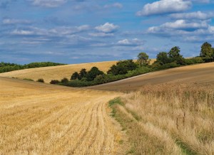 Westridge, Aldworth