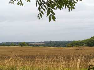Abbotshay, Ayot St Lawrence