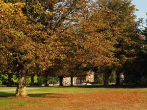 Early autumn colours