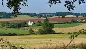 Early Autumn, Hertfordshire