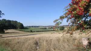 Frogmore Bottom, North Hertfordshire