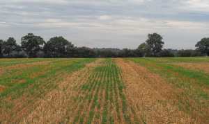 The end of a long summer