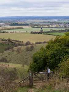 Pitstone Windmill and The Chilterns from Ashridge