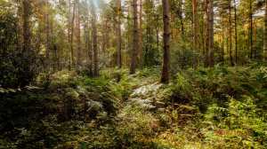 Summer still clinging on