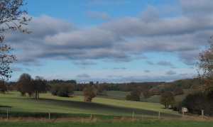 The Golden Valley, Ashridge Estate, Hertfordshire