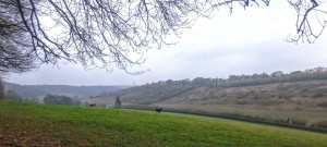 Denner Hill, Bryant's Bottom