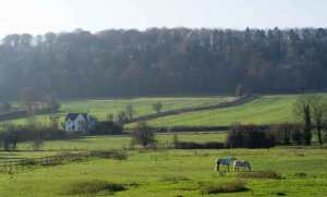 Hambleden Valley
