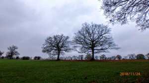 Hawbushes Farm, Great Kingshill