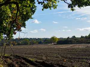 Hertfordshire countryside near Much Hadham