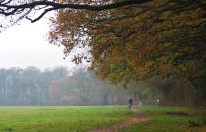 Prestwood, Saturday morning in November