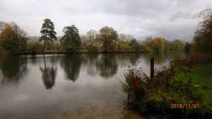 Reflecting on dull weather