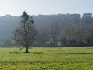 Winter around the corner, Hambleden Valley