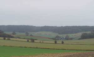 Dull December in South Oxfordshire