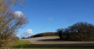 Blunts Wood, Miicklefield Green, Hertfordshire