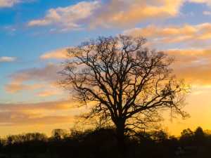December sunrise in Sarratt,-Hertfordshire