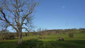The Chess Valley, Herts