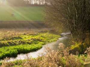 Winter Sun and The Chess