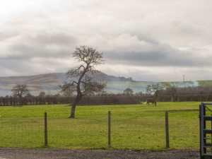 Ivinghoe Beacon & The Vale of Aylesbury