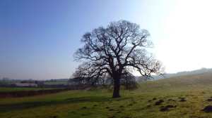 As the mist lifts...