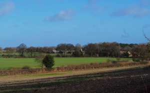 February in Hertfordshire
