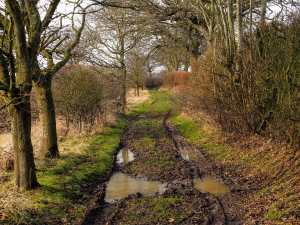 Muddy paths