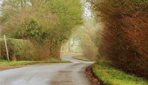 The sun burns through the mist