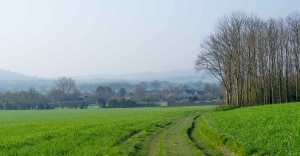 Dunstable Downs and Ashridge from Totternhoe