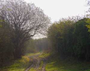 Green Lanes, Totternhoe