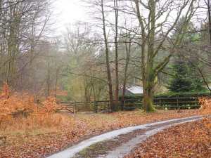 Keepershill Wood