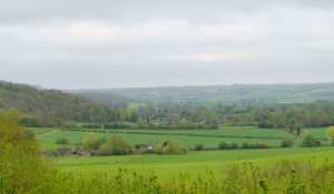 Aldbury from Ashridge