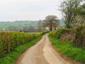 Beesonend Lane towards the Ver
