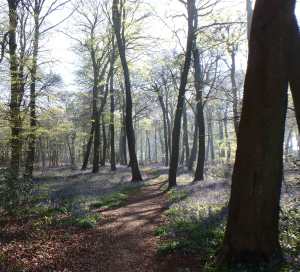 Easter weekend, Nuffield Place