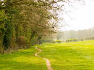 Hampden Bottom, Great Misseden