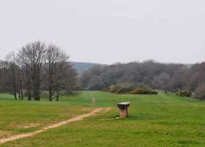 Nomandsland Common and the view