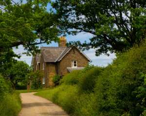 Country lanes, Hertfordshire