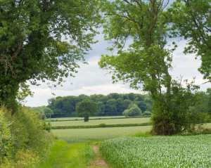 Kingsash Farm, Wendover