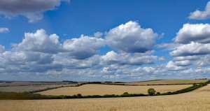 Berkshire Downs near Aldworth