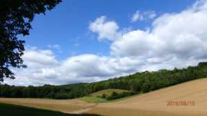 Hellbottom Wood, Bucks