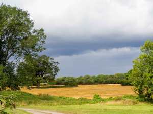 Oxfordshire countryside