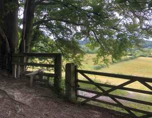 Pulpit Hill Nature Reserve